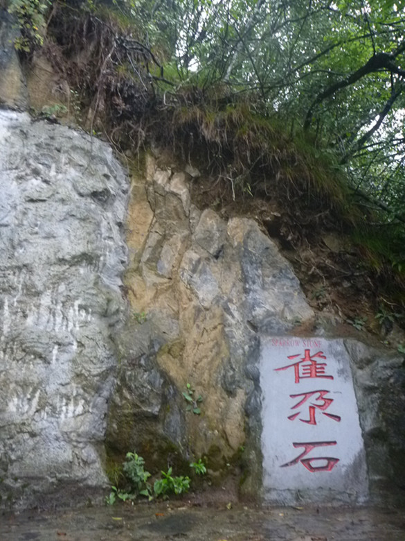 p1070379_.jpg