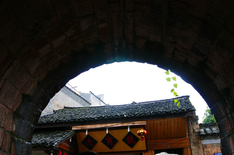 dsc08413.jpg
