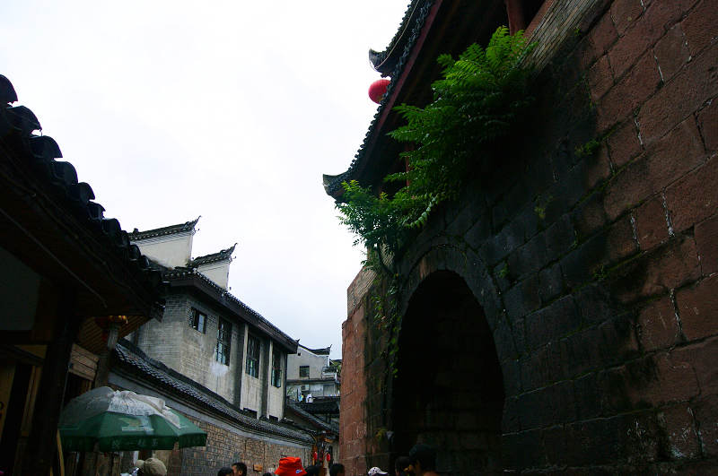 dsc08414.jpg