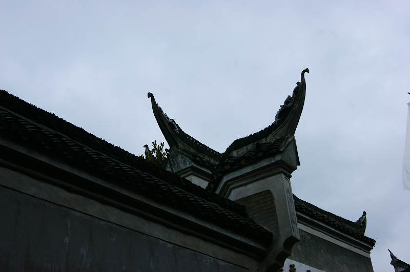 dsc08416.jpg