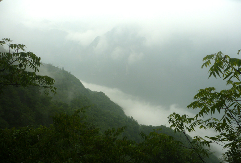 p1070384_.jpg