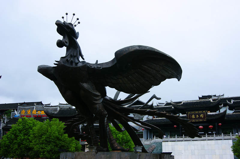 dsc08451.jpg