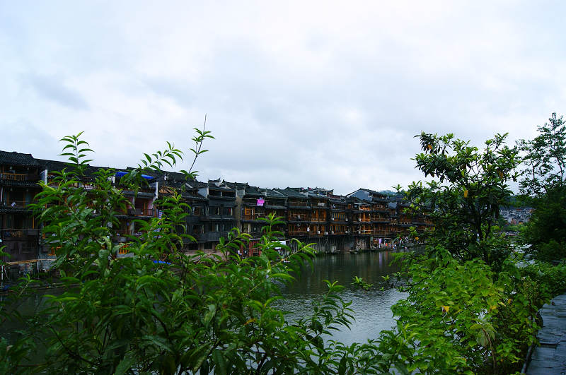 dsc08366.jpg