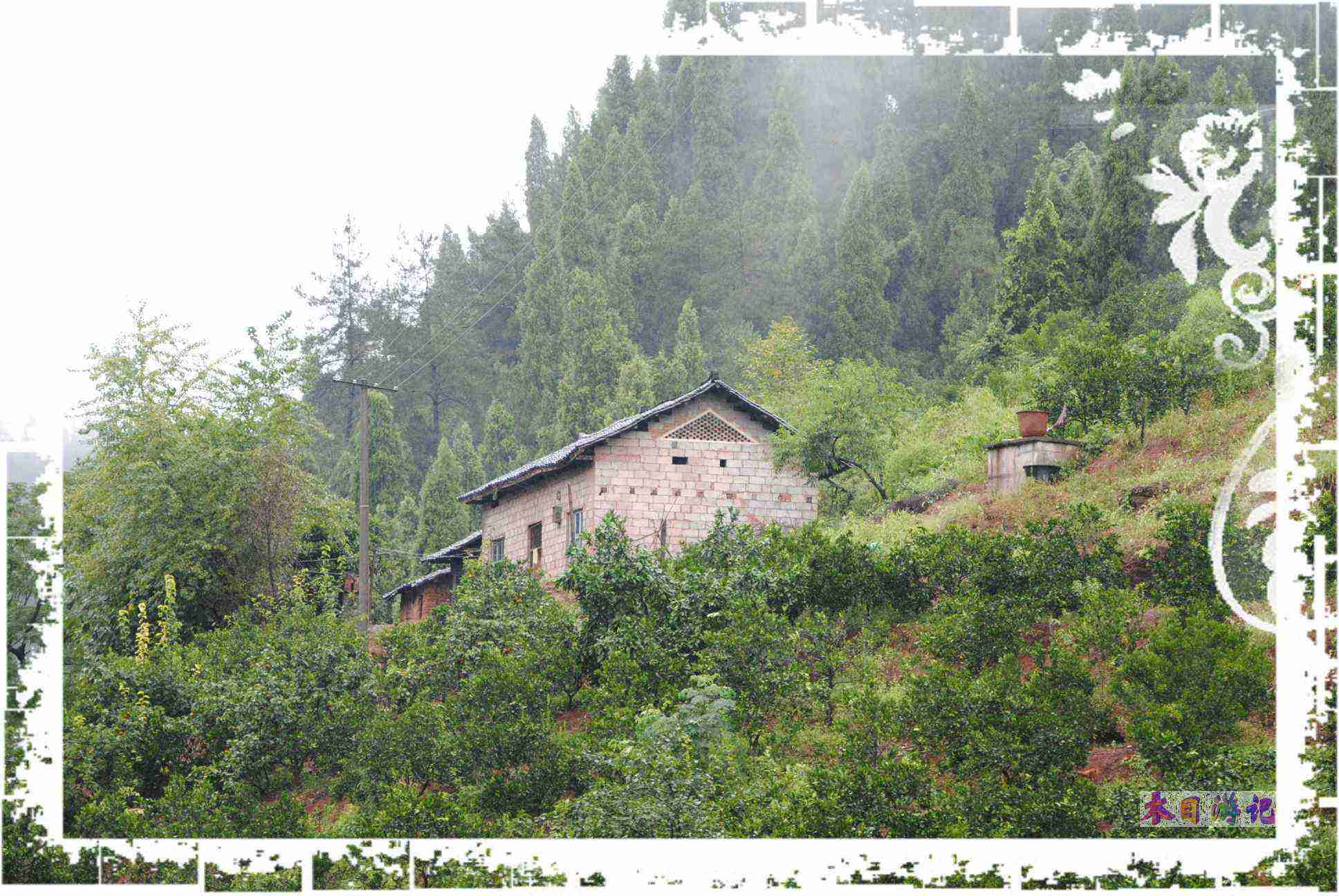 dsc_0070.jpg