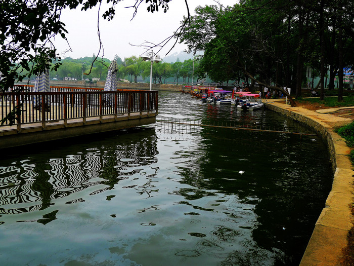 p1010593.jpg