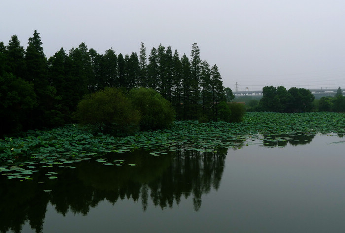 p1010642.jpg
