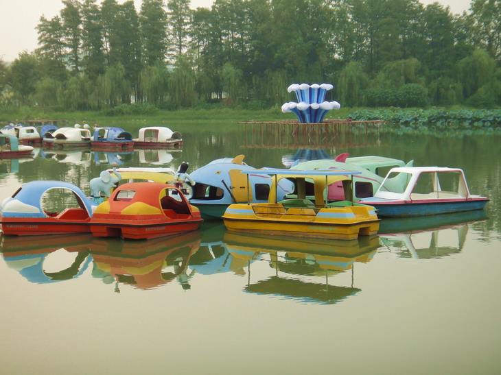 dsc03920.jpg