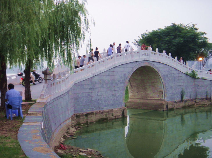 dsc03955.jpg