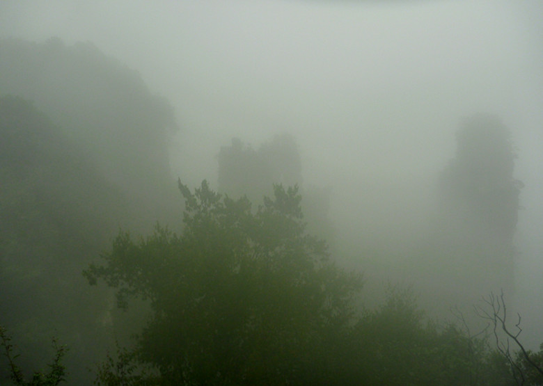 p1070421_.jpg