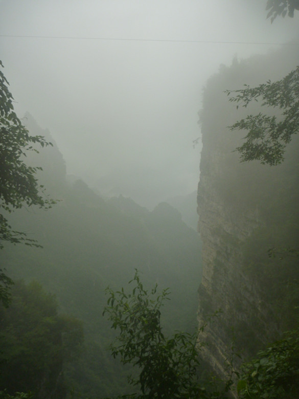 p1070469_.jpg