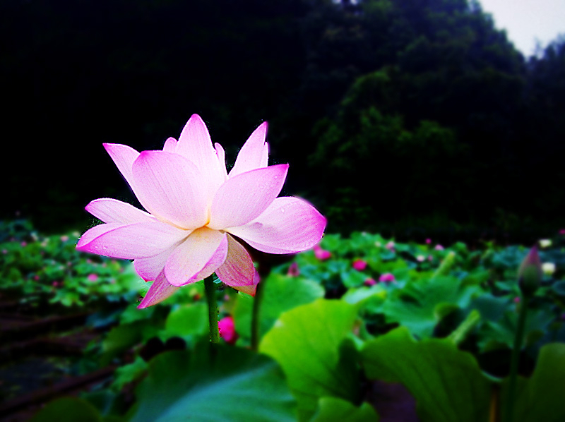 dscn9383_.jpg