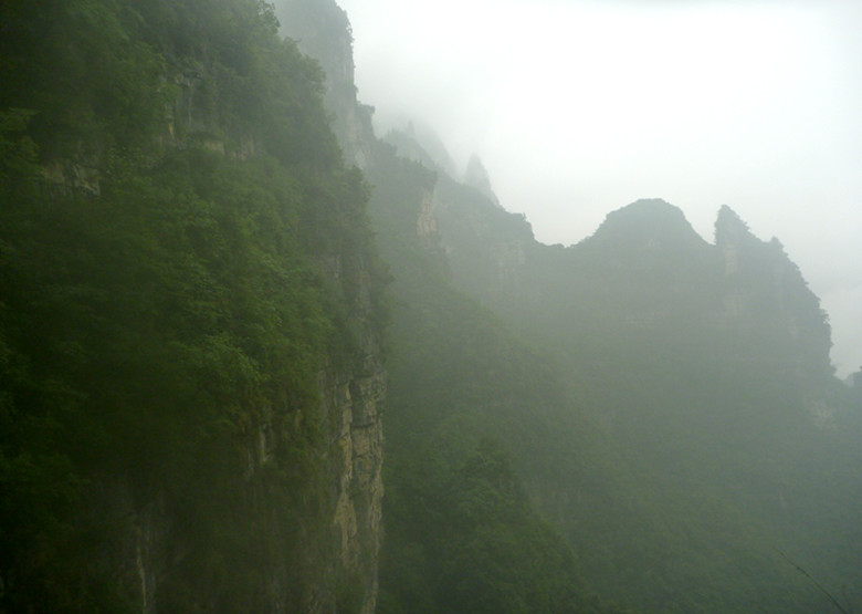 p1070487_.jpg