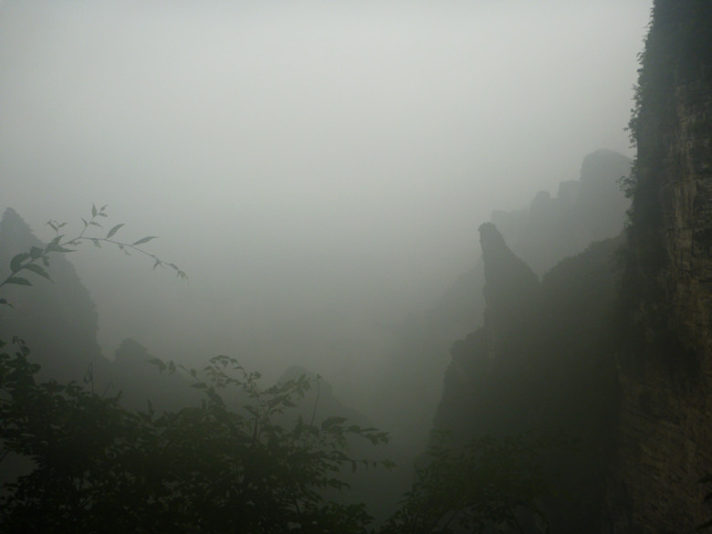 p1070490_.jpg