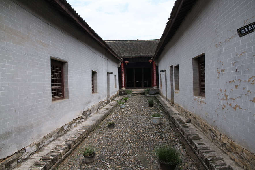 zls5.jpg
