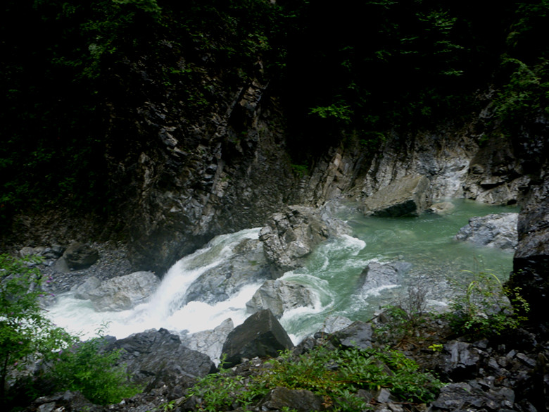 p1070499_.jpg