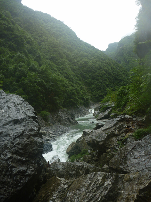 p1070498_.jpg