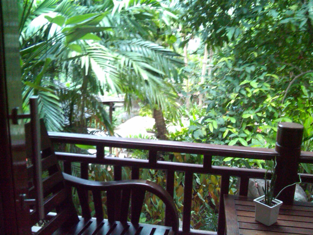 img00335-20110727-0643.jpg