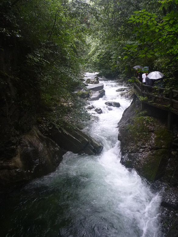 p1070516_.jpg