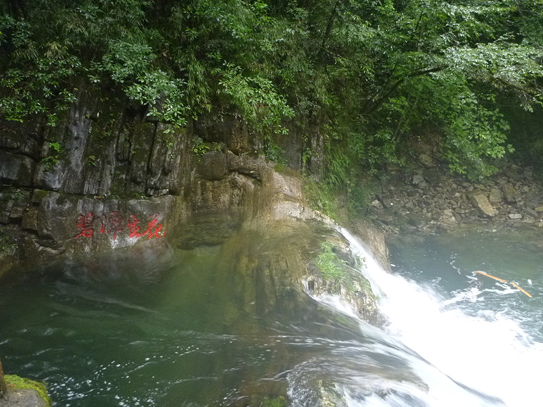 p1070515_.jpg