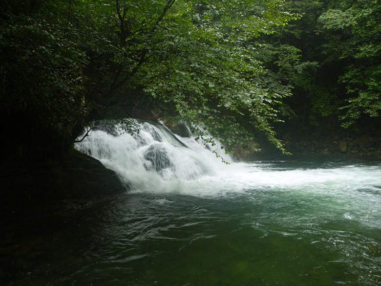 p1070514_.jpg
