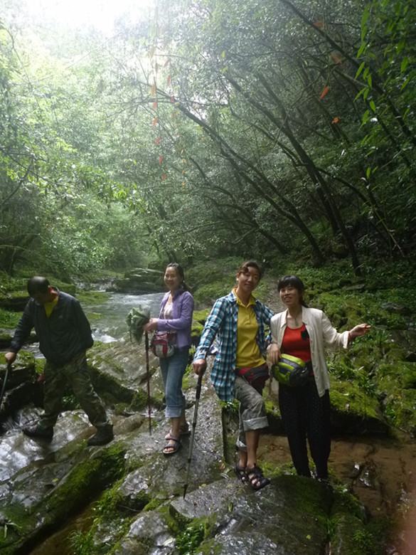 p1070521_.jpg