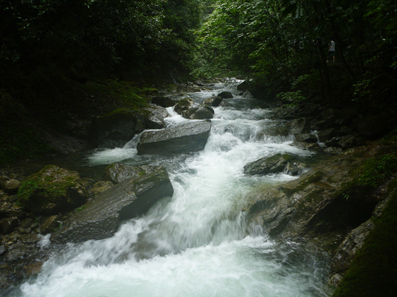 p1070517_.jpg