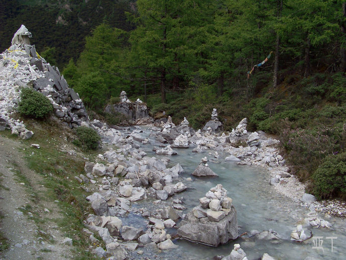 20110618hĴǶ (82).jpg