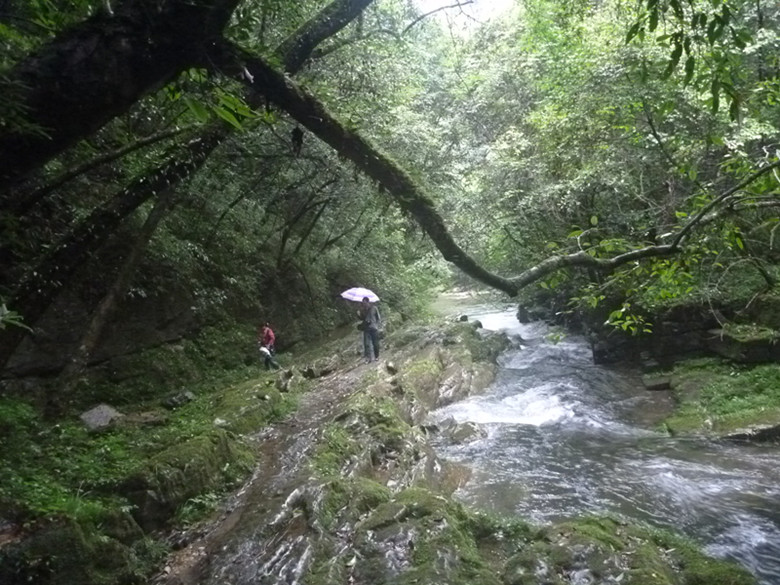 p1070523_.jpg