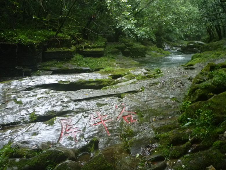 p1070522_.jpg