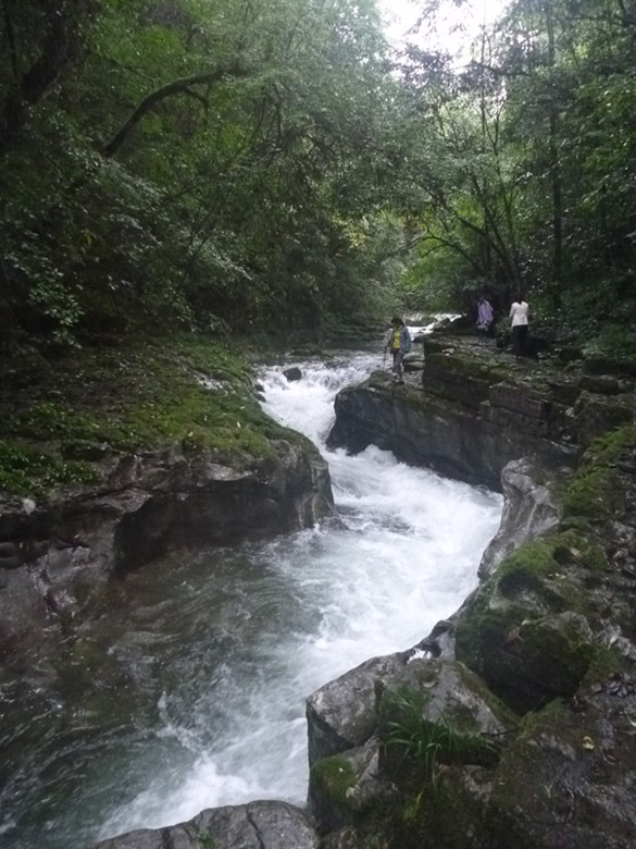 p1070524_.jpg