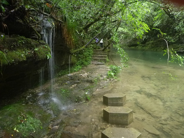 p1070530_.jpg