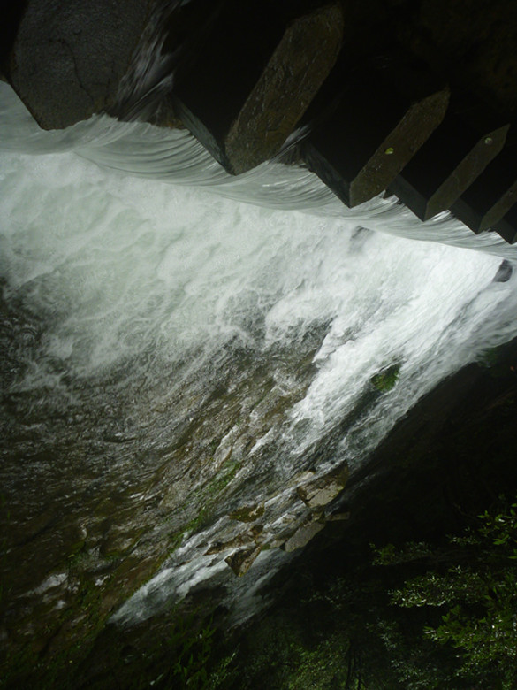 p1070529_.jpg