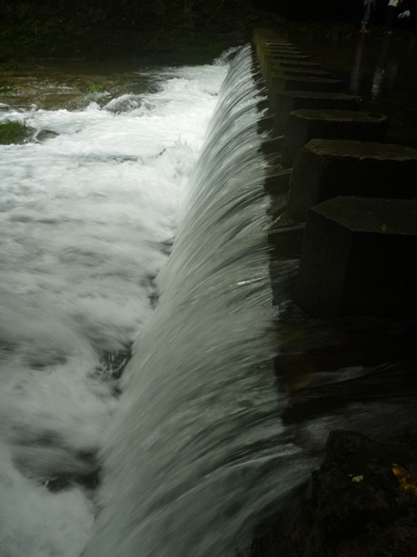 p1070528_.jpg