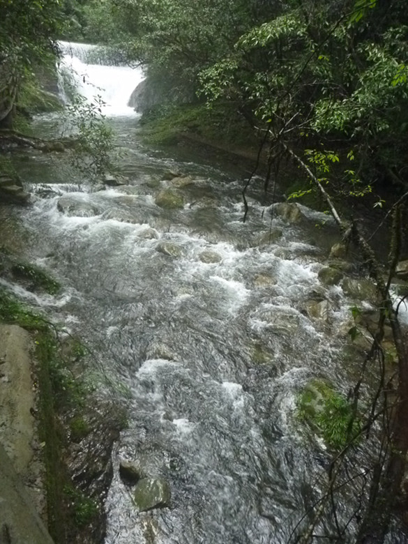 p1070531_.jpg
