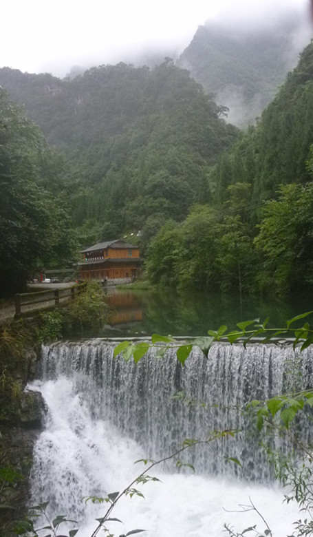 p1070538_.jpg