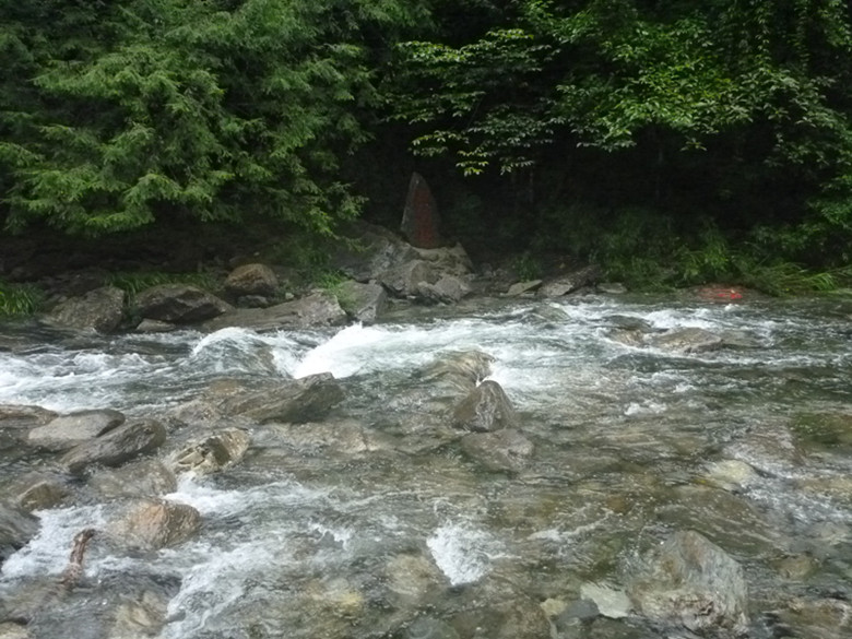 p1070537_.jpg