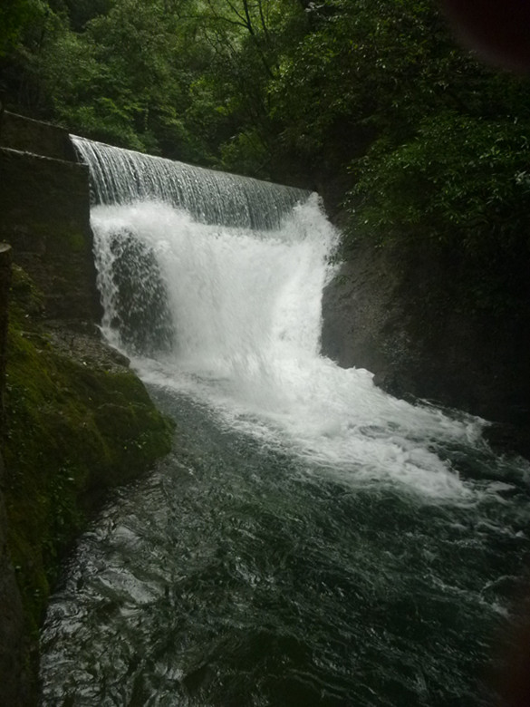 p1070535_.jpg