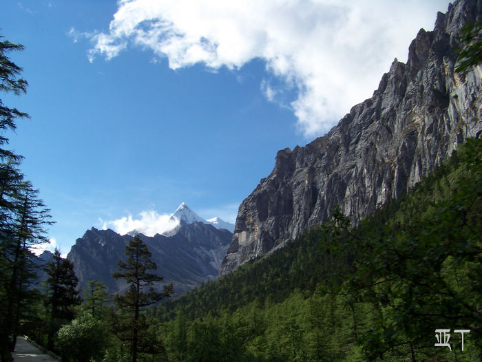 20110618jĴǶ (221).jpg