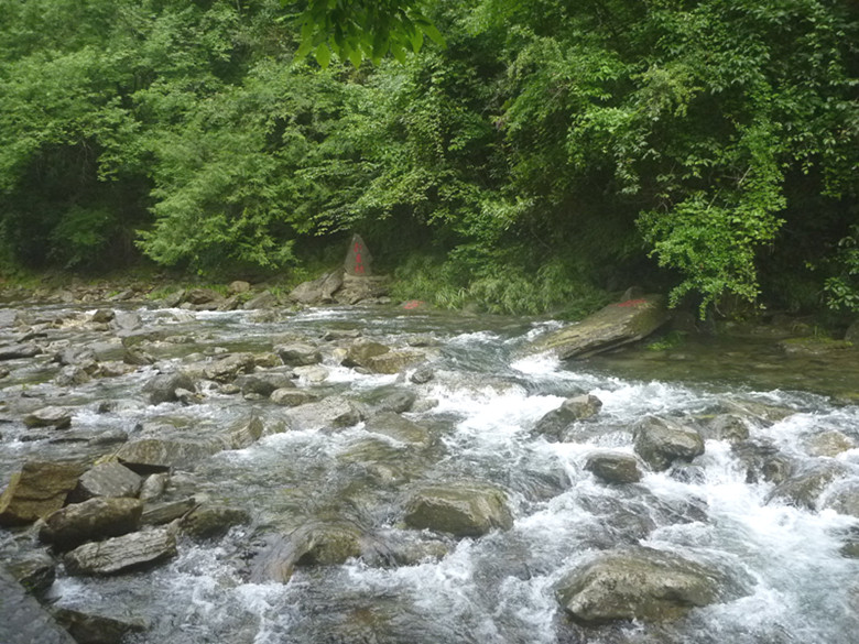 p1070547_.jpg