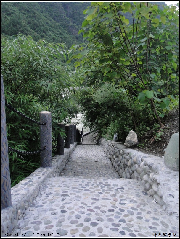 dsc00137 (2).jpg
