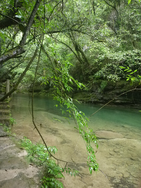 p1070553_.jpg