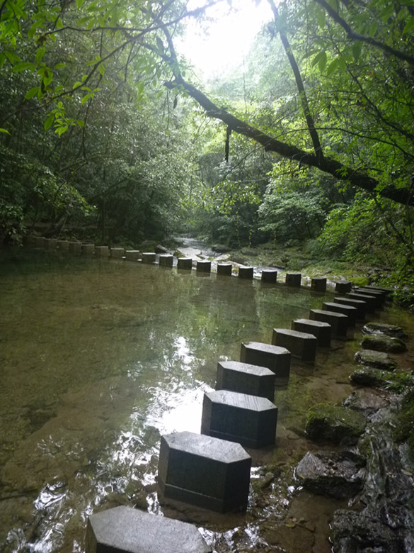 p1070552_.jpg