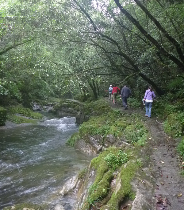 p1070550_.jpg