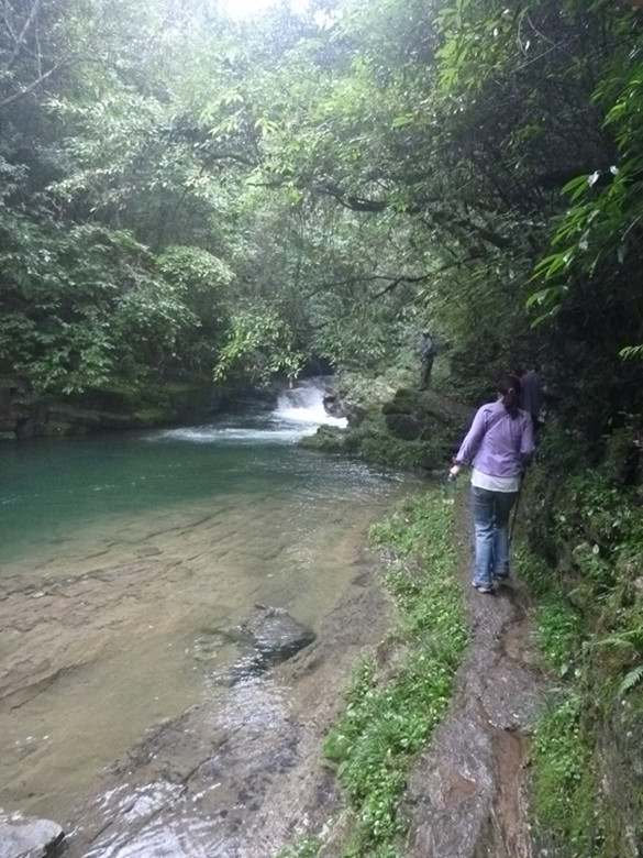 p1070549_.jpg