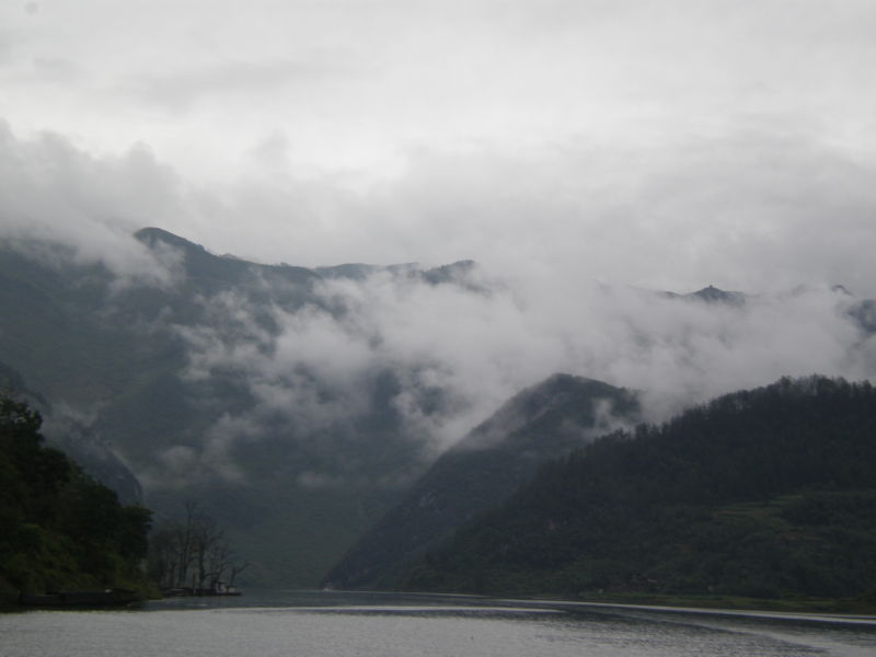 ca278d2n.jpg