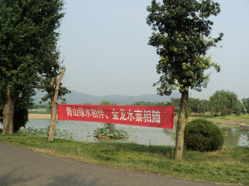 dsc05002_.jpg