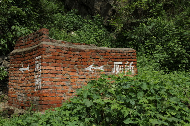 zls26.jpg