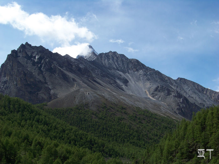 20110618jĴǶ (289).jpg