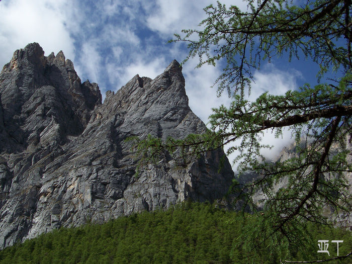 20110618jĴǶ (292).jpg