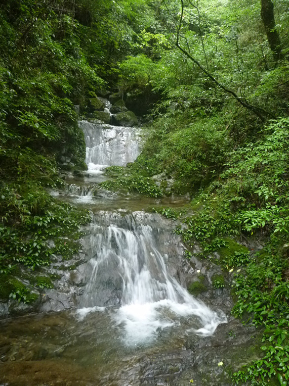 p1070557_.jpg